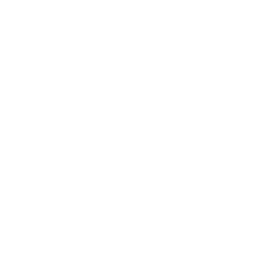 digital_NJ_logo_white_transparent